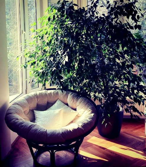 Screen Shot 2011-11-03 at 11.07.28 AM