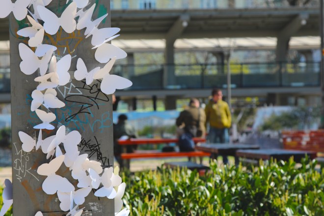 15000 papírlepke Budapest belvárosában 5