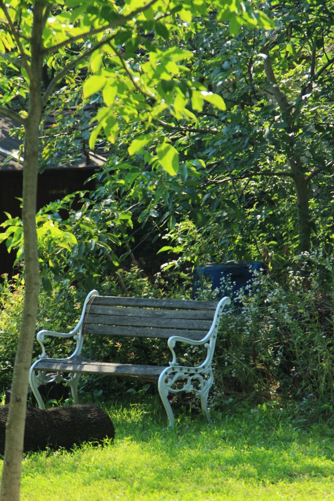 szögletes aranyhal nyári nap a kertben 004b pad