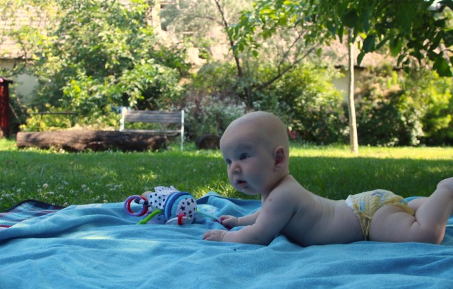 szögletes aranyhal nyári nap a kertben 008 baba