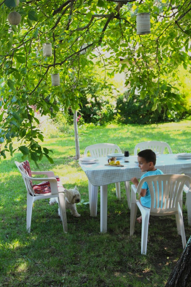 szögletes aranyhal nyári nap a kertben 013 ebéd 2
