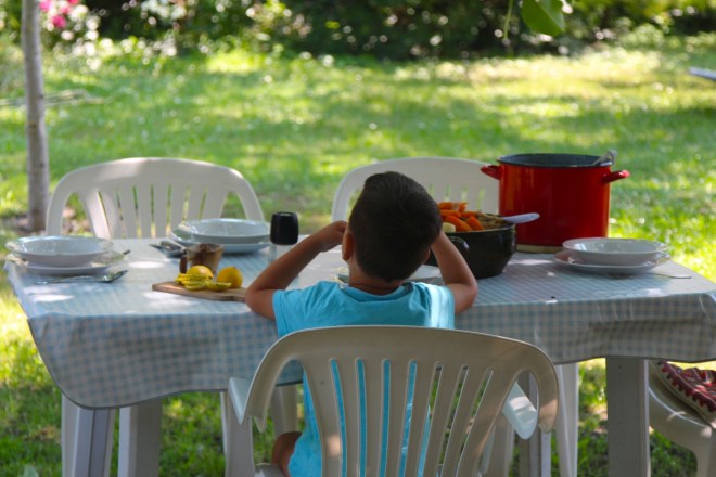szögletes aranyhal nyári nap a kertben 014 ebéd