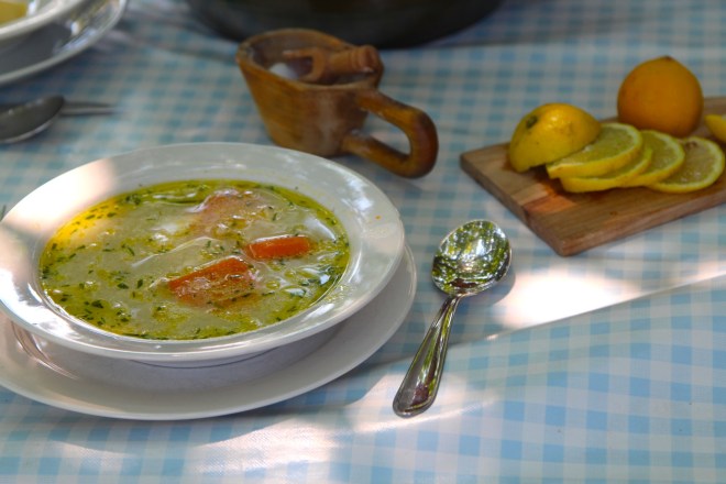 szögletes aranyhal nyári nap a kertben 014b leves