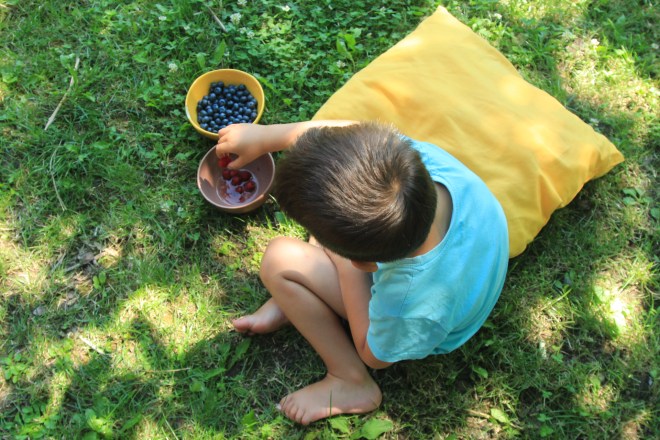 szögletes aranyhal nyári nap a kertben 016 áfonya
