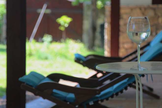 szögletes aranyhal nyári nap a kertben 017 bor