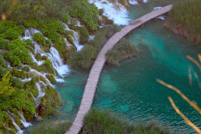 szögletes aranyhal Plitvicei tavak 12
