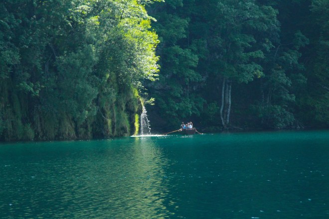 szögletes aranyhal Plitvicei tavak 2