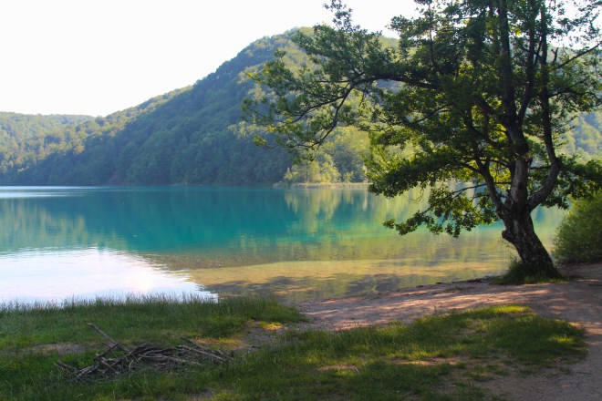 szögletes aranyhal Plitvicei tavak 4