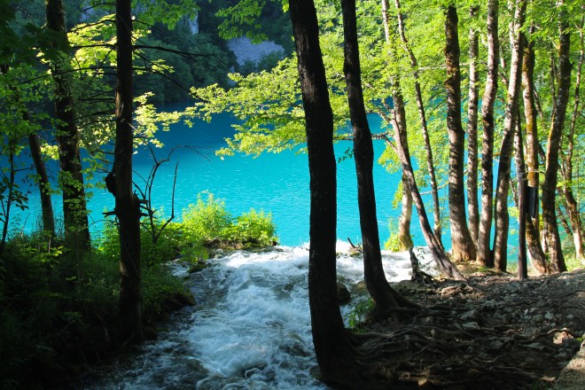 szögletes aranyhal Plitvicei tavak 5
