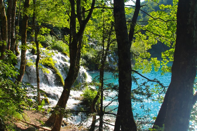 szögletes aranyhal Plitvicei tavak 6