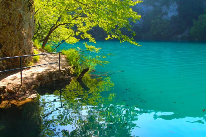 szögletes aranyhal Plitvicei tavak 8