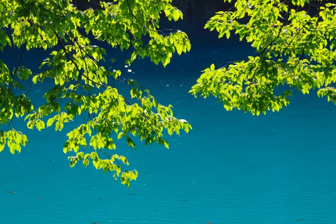 szögletes aranyhal Plitvicei tavak 9