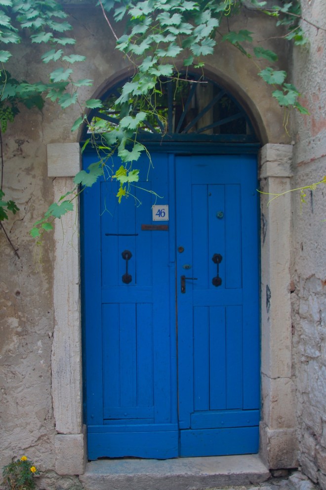 szögletes aranyhal Rovinj 6