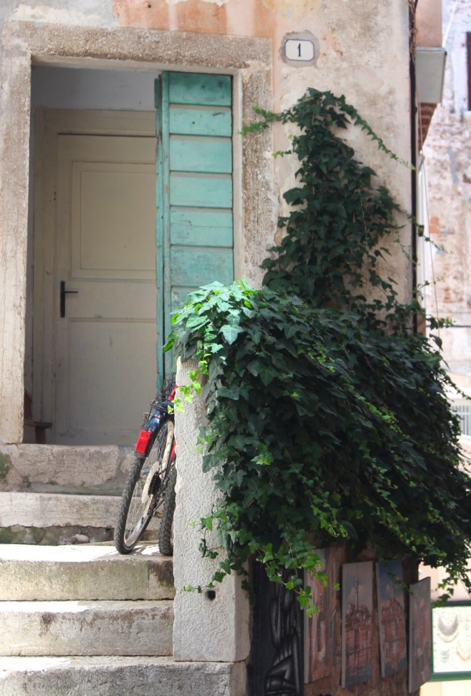 szögletes aranyhal Rovinj 8