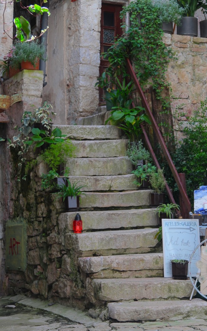 szögletes aranyhal Rovinj 9