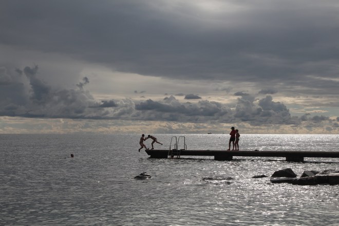 szögletes aranyhal tenger 2