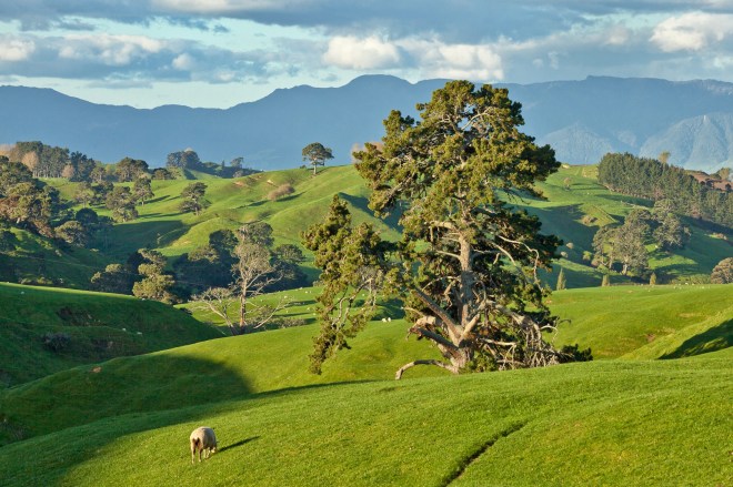 hobbitfalva by pinter julia 11