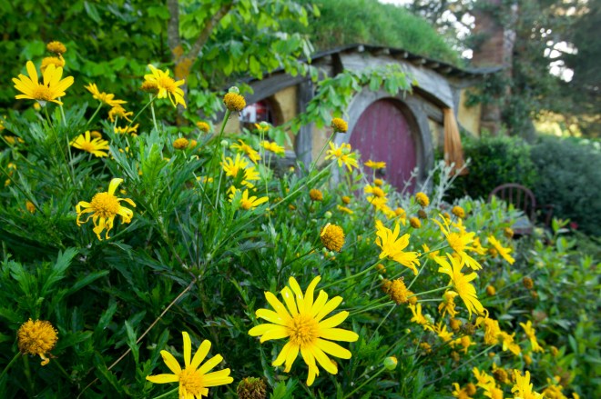 hobbitfalva by pinter julia 6