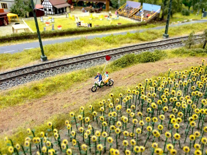 szögletes aranyhal miniversum budapest 9