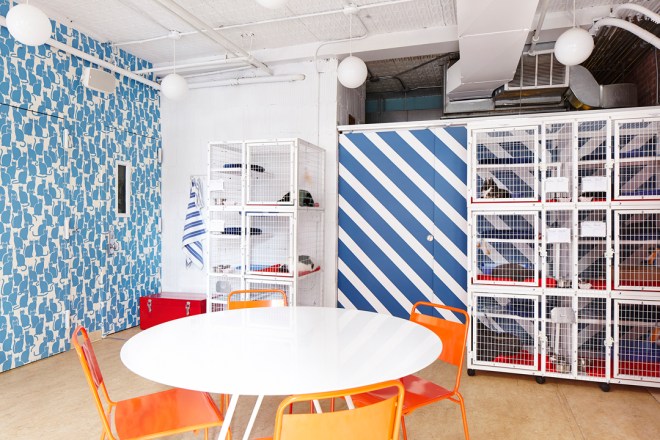 Emily_Henderson_cicamenhely_03