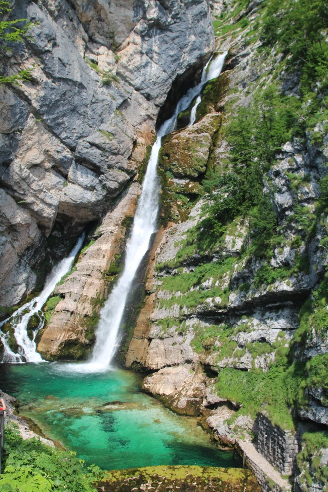 szögletes aranyhal Szlovénia Triglav 2