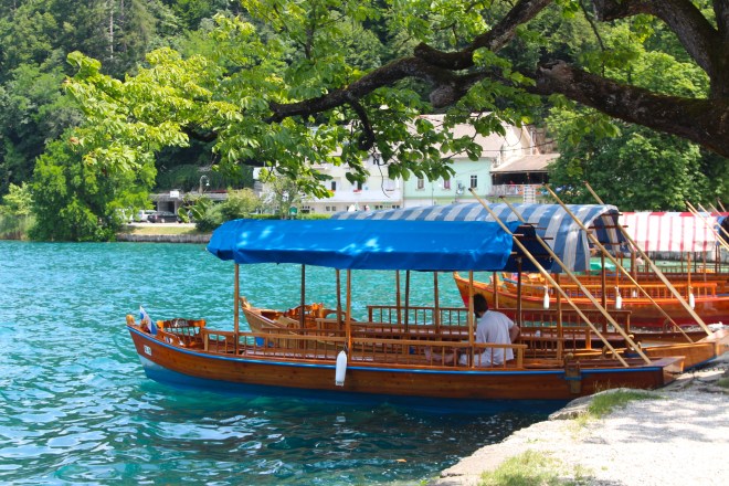 szögletes aranyhal Szlovénia Triglav 523