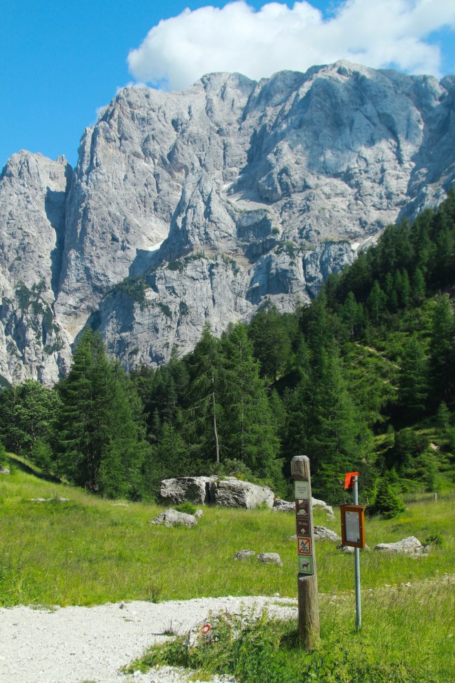 szögletes aranyhal Szlovénia Triglav 9