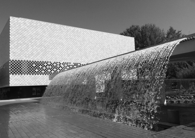 lisszaboni-oceanarium-1-szogletes-aranyhal