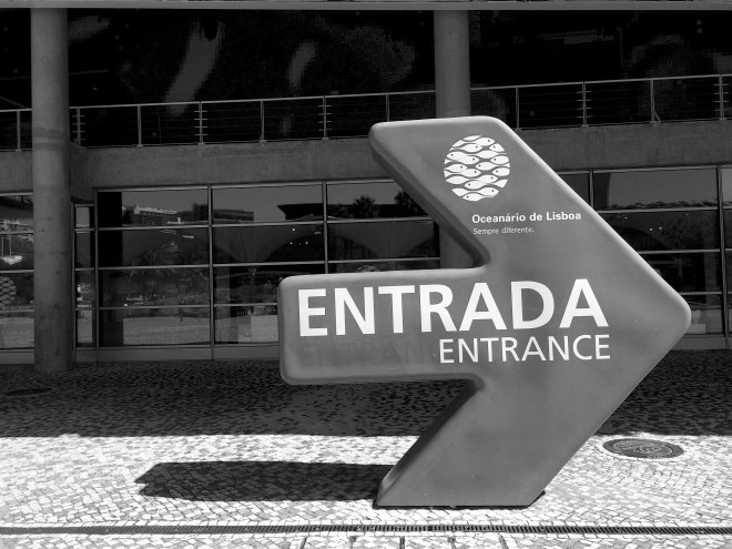 lisszaboni-oceanarium-2-szogletes-aranyhal