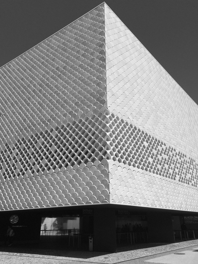 lisszaboni-oceanarium-5-szogletes-aranyhal