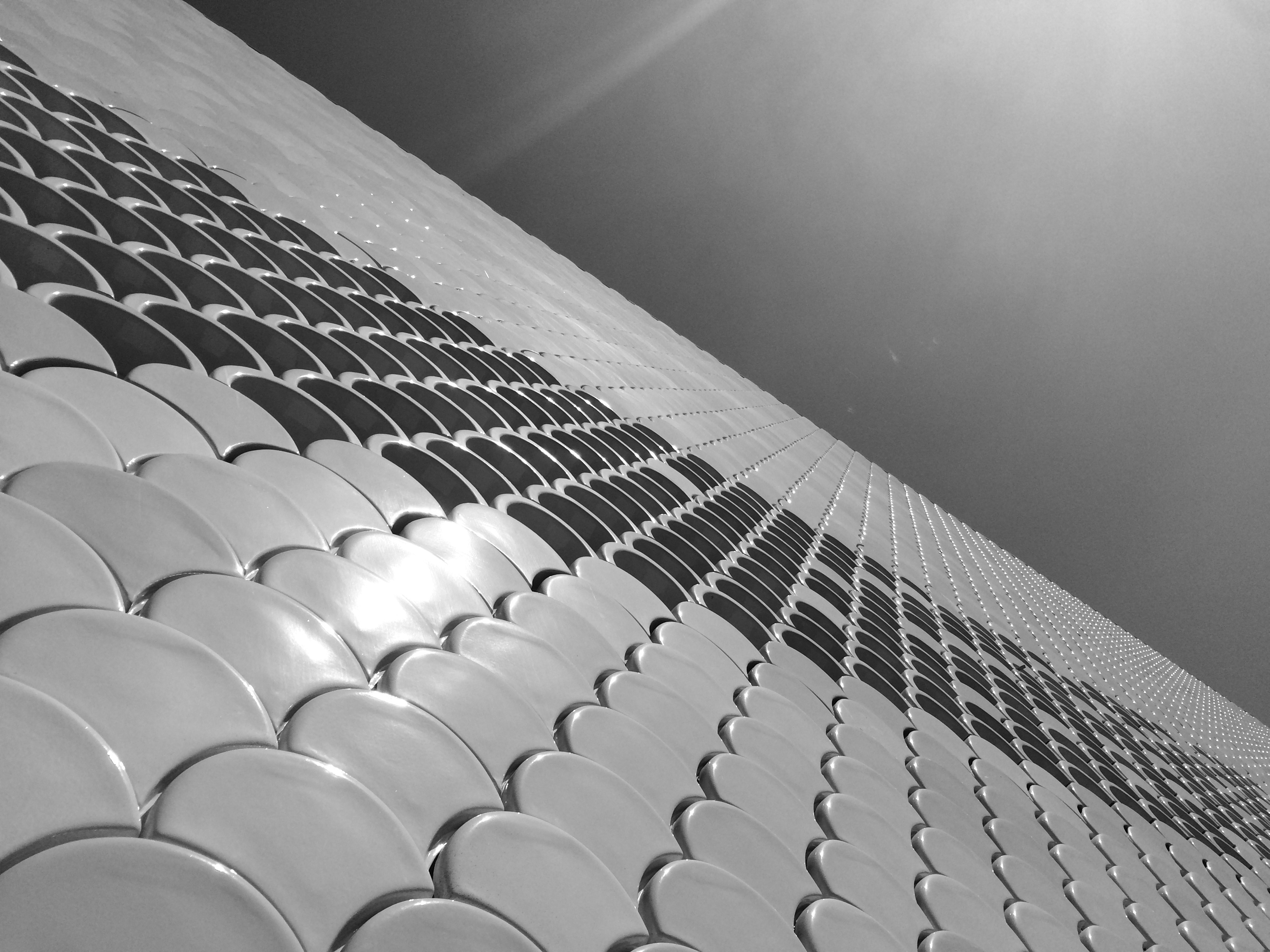 lisszaboni-oceanarium-6-szogletes-aranyhal