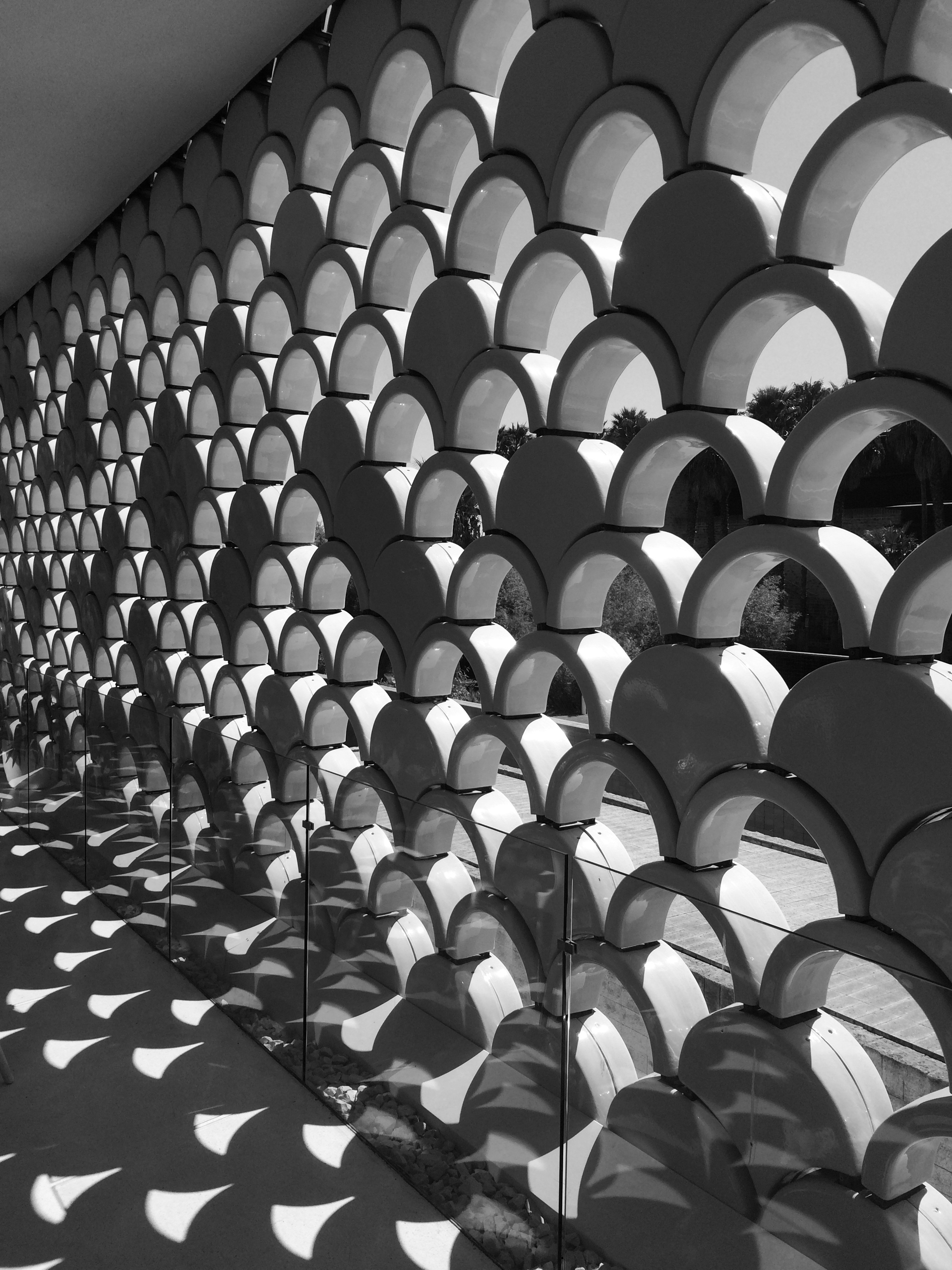 lisszaboni-oceanarium-8-szogletes-aranyhal