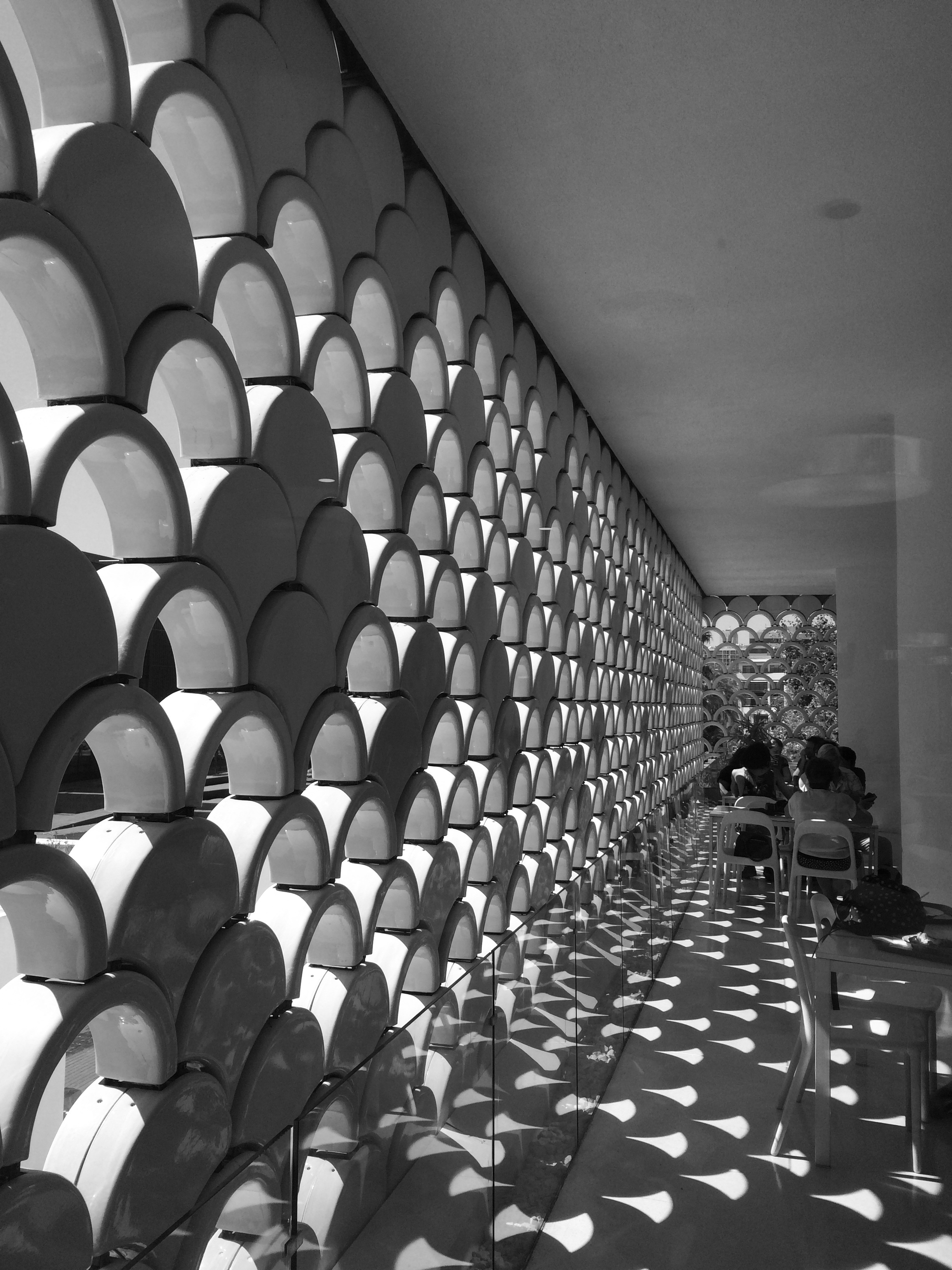 lisszaboni-oceanarium-9-szogletes-aranyhal