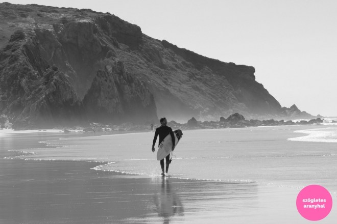praia-do-amado-portugal-szogletes-aranyhal-1