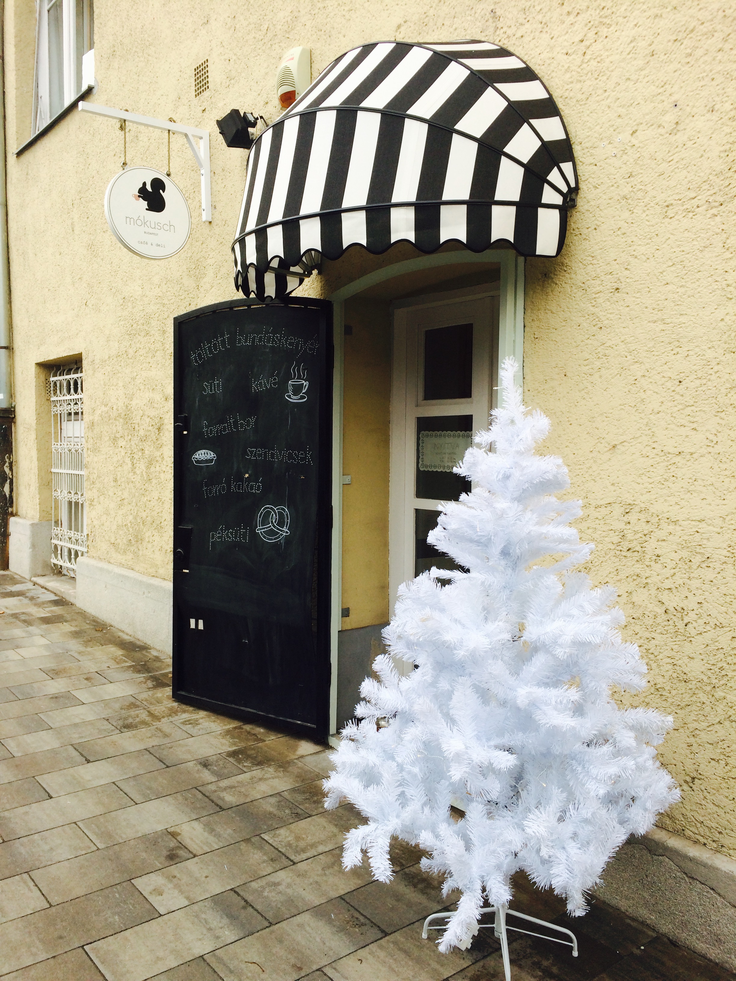 mokusch-1-szogletes-aranyhal